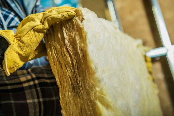 Best Insulation Maintenance and Repair in Mpbell, CA